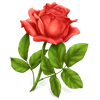 De Vier Jaargetijden Bloem en Lifestyle Logotype