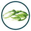 Vvzrl Groenlof Logotyp