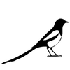 Magpie Gallery Logotype