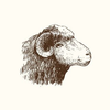 The Cozy Sheep Logotyp