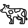 Texas Curds Logo