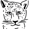 Wild Child Cacao Logotip