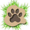 i Film Heroes - The Rescue Cat & Dog FilmMaker Logotyp