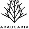 Araucaria Jet Whit Logotype