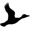 T.R. Ducks Logotipo