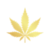 Grow Spirit 