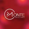 Monte Consultancy Limited 