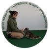 Nimis Hundskola Logotyyppi