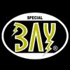 BAY Kampfsport Logotyp