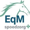 Equimergency Logotipo