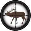 Life Size Animal Targets Logo