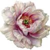 Vintage Peonie Interiors Logotyp