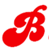 Biljartboetiek v. Halem-Brugmans Logotipo