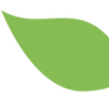 Pavez Logotyp