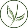PlantsOnline Logotyp
