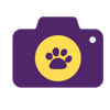 CollarCam Logotype