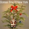 Bonsai Boy Of New York | East Patchogue NY Logotype
