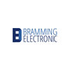 BR Electronic Logo
