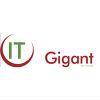 IT Gigant Logotype