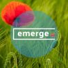 Emerge Logotyp