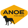 ANOE Logotype