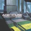 Acid House Terrain Logotype