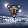 webbshop.bollnasbandy.se Logotyp