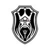 Triton BJJ 