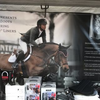 HorseWealth Logó