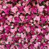 London Flower Wall Company Logotipo