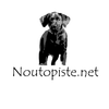 Noutopiste Logotyyppi