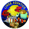 Lincs Aquatics Logotype