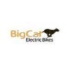 Bigcatelectric Logotype