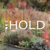 Hold Logotipo