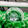 Greens Do Good Logotyp