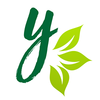 yoyosan Logotype