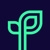 Productpine Logotype