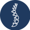 Moos Family Chiropractic Logotyp