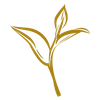Aysegül Ibrahimbas Tea1986 Logotipo