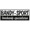 norskbandysport.no Logo