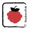 RaspberryPi.dk Logotyp