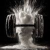 Sport Life Nutrition Logó