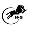 H+S Der Zaun Logotyp