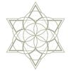 Erin M. Moran Logotipo