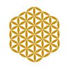 Sophie Bartoli Logotipo