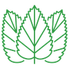 La Ortiga Logotyp