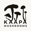 Kääpä Vitalpilze Logotype