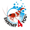 Shrimp4you Logotipo