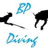 BP Diving Logo