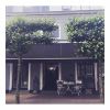 De Drie Linden v.o.f. Logotyp